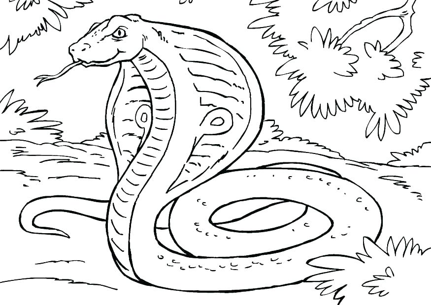 875x620 Snake Coloring Pages Free Snake Coloring Pages Cobra Snake