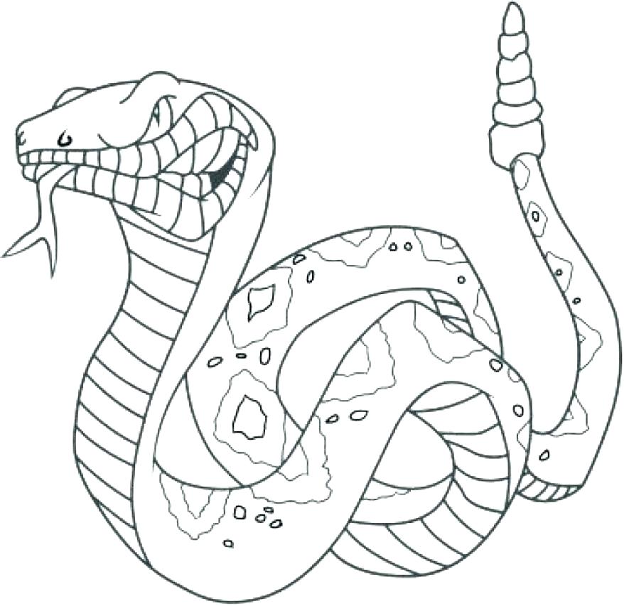 878x853 Snake Picture Coloring King Cobra Coloring Pages Coloring Page