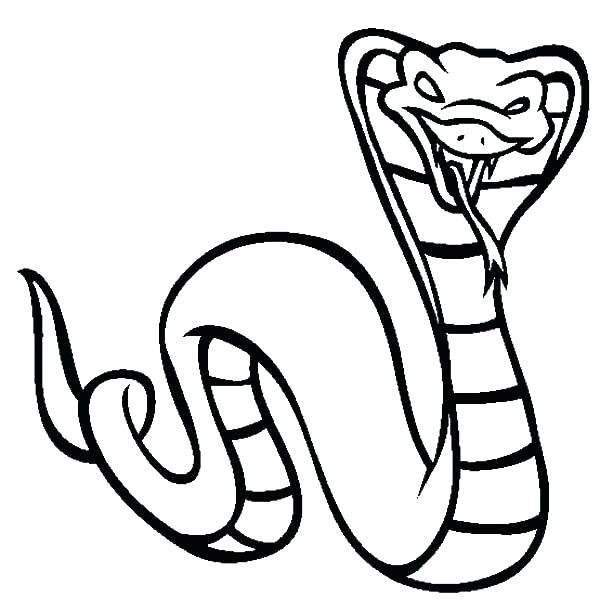 600x612 Snakes Coloring Pages Snake Coloring Page Snakes Coloring Pages
