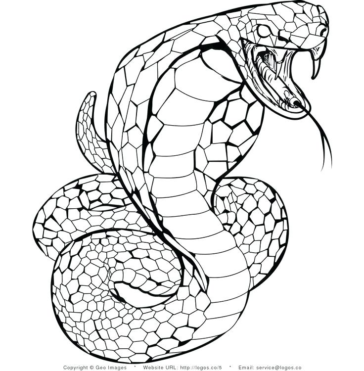 Cobra Snake Coloring Pages