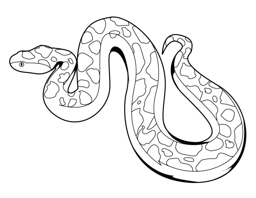 1024x792 King Cobra Snake Coloring Pages Download And Print For Free