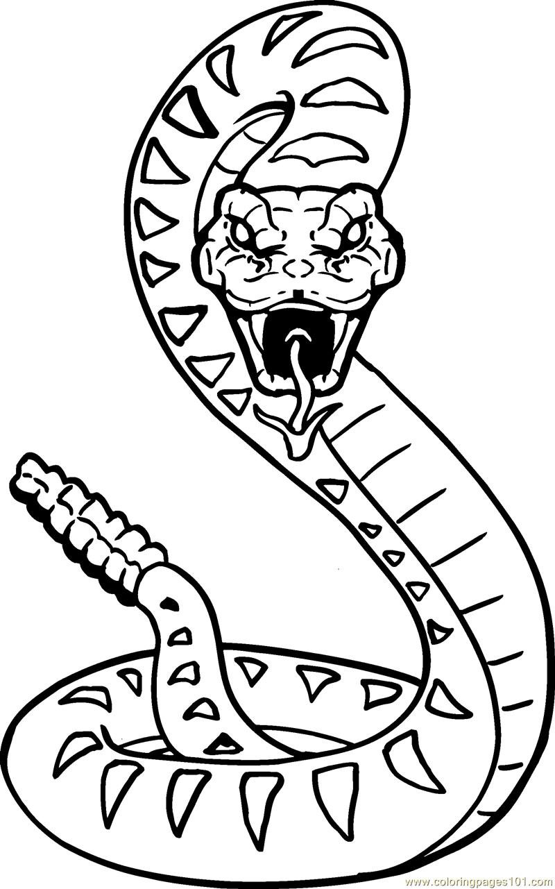 800x1281 King Cobra Snake Coloring Pages Download And Print For Free