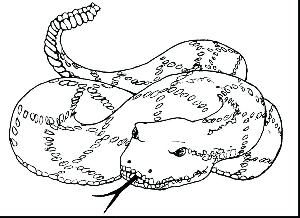 1024x744 Popular Coloring Page Cobra Coloring Pages Inside Gi Joe Coloring