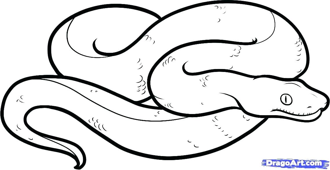 1139x586 Snake Coloring Pages Snake Color Page Rubber Snakes Realistic
