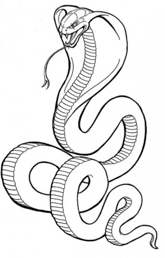 550x858 Cobra Snake Coloring Pages Picture 5 550x858 Picture Tattoos I