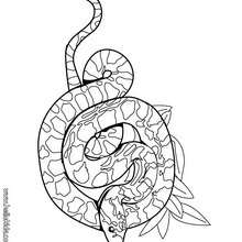 220x220 Cobra Snake Coloring Pages