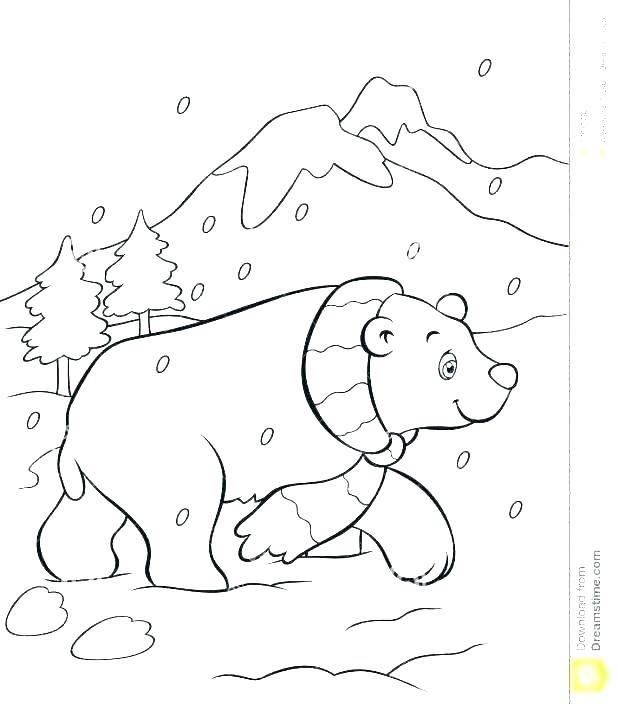 618x704 Polar Bear Color Page Polar Bear Coloring Pages Polar Bear