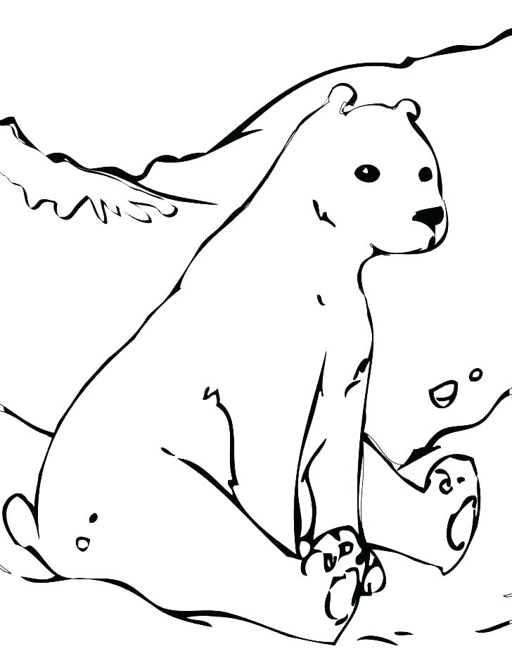 728x942 Polar Bear Coloring Page Polar Bear Polar Bear Coloring Page