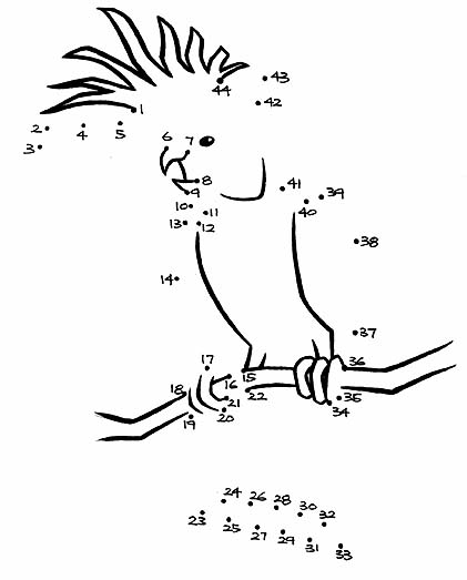 421x523 Coloring Amp Activity Pages Cockatiel Or Cockatoo Dot To Dot