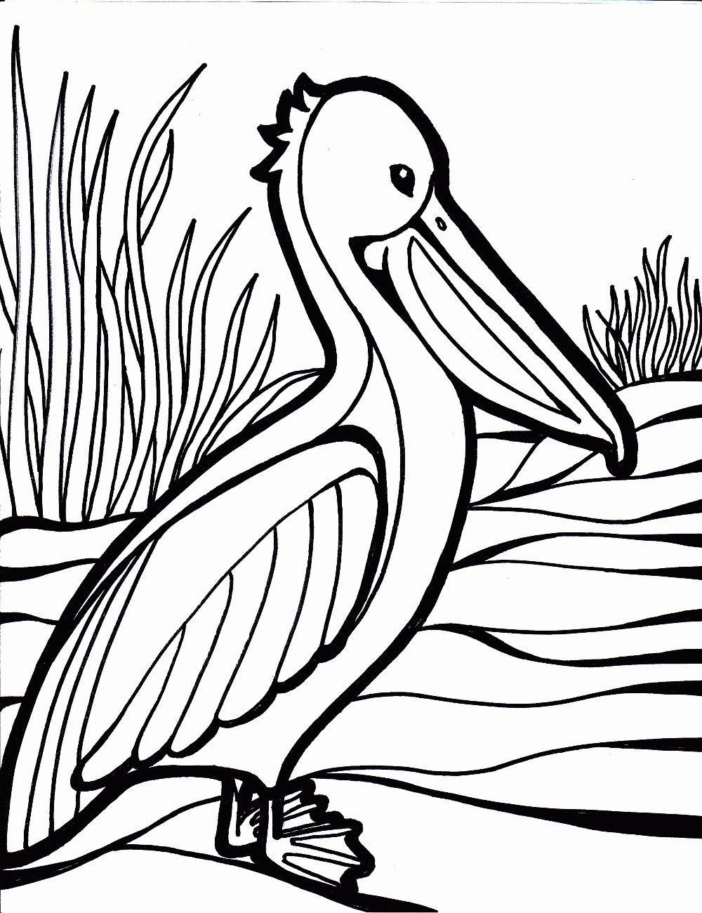 1000x1300 Cockatoo Coloring Pages Sweet Cockatoo Coloring Pages To Cockatoo