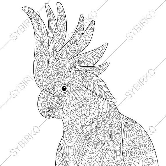570x570 Cockatoo Parrot. Coloring Pages. Animal Coloring Book Pages