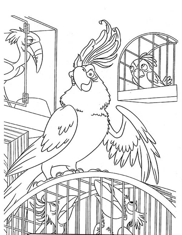 600x776 Nigel The Sulphur Crested Cockatoo From Rio Movie Coloring Pages