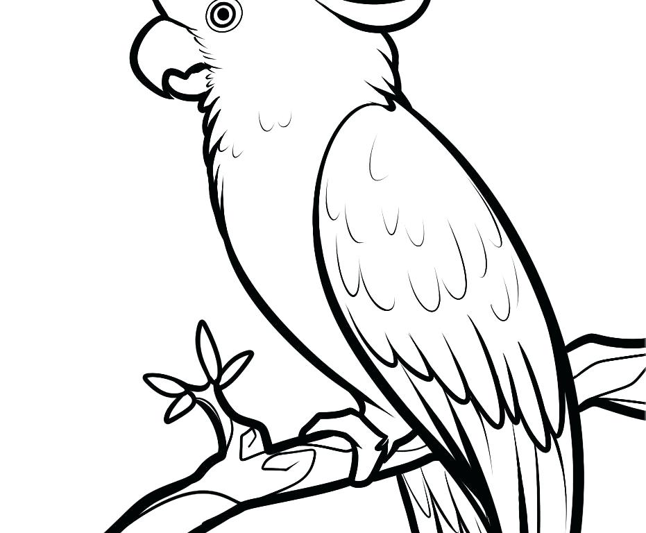 931x768 Pencil Coloring Sheet Printable Coloring Sheet Coloring Pages