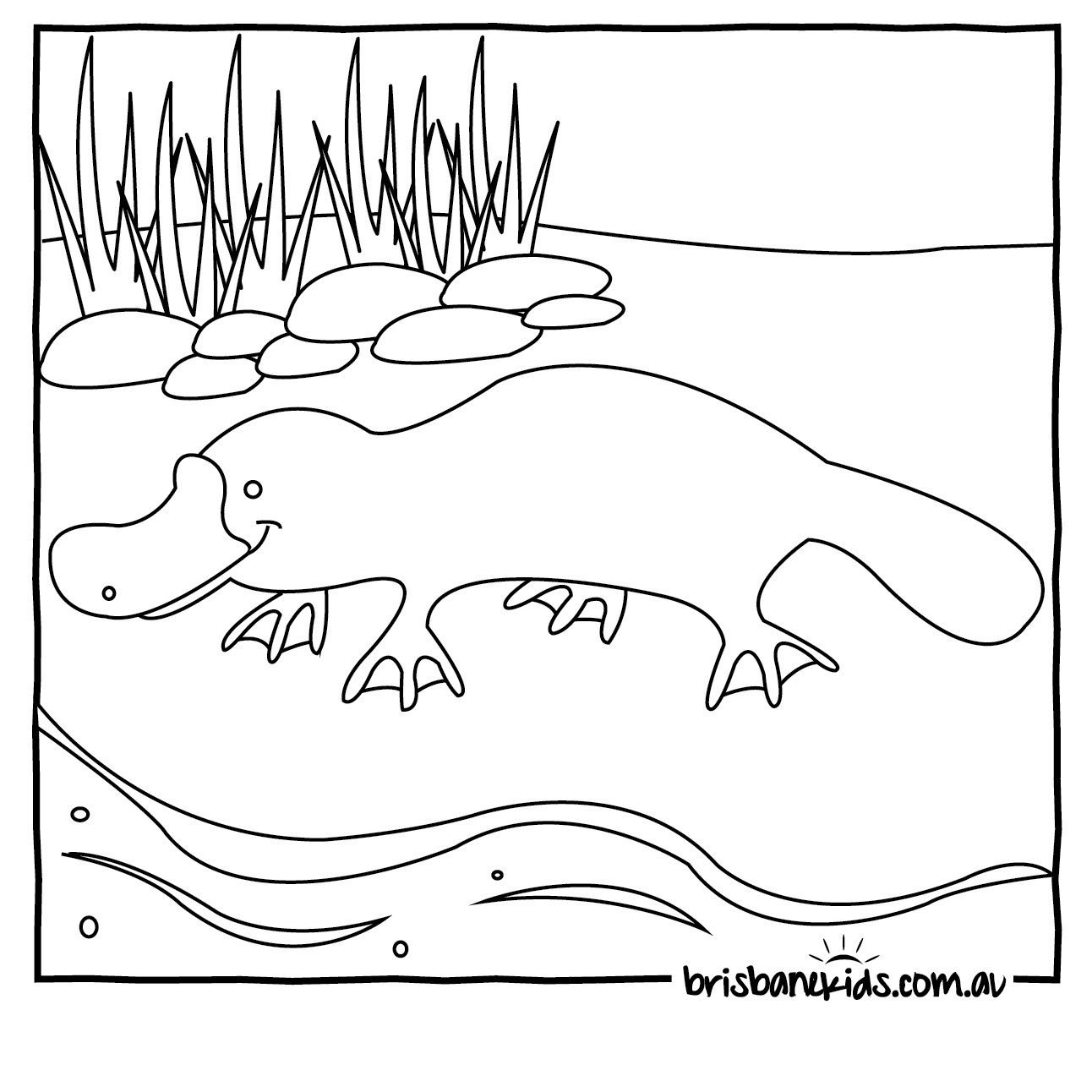 1292x1292 Australia Coloring Pages Kids Rose Breasted Cockatoo Or Galah Page