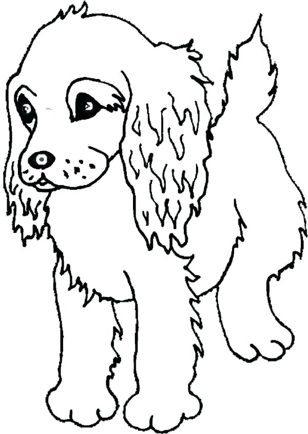 600x846 Cocker Spaniel Coloring Pages Spaniel Puppy Coloring Page Coloring
