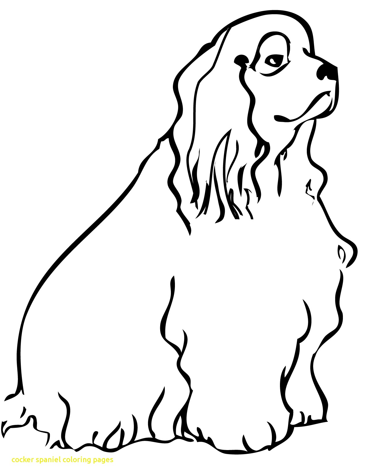1275x1650 Cocker Spaniel Coloring Pages With Stunning Cocker Spaniel