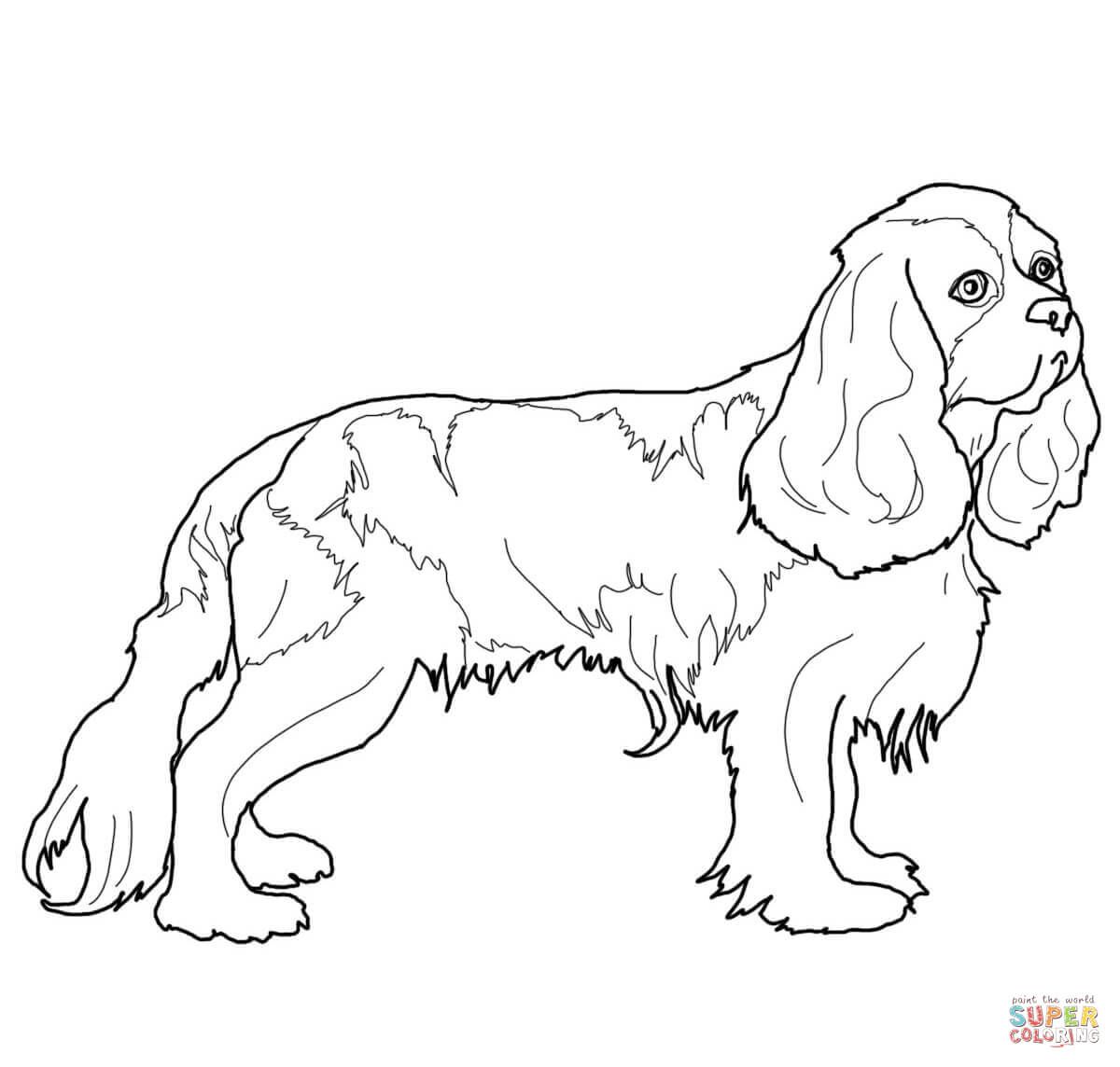 1200x1144 Cocker Spaniel Coloring Page Free Printable Coloring Pages