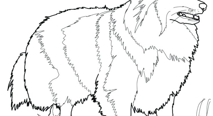 735x400 Dog Coloring Old Sheep Dog Coloring Page Dog Old Sheepdog Old