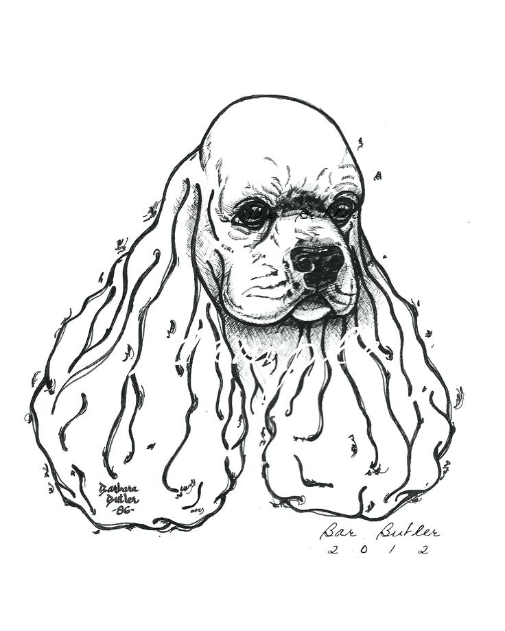 736x920 Cocker Spaniel Coloring Pages Best My Handmade Artist Mohair Bears