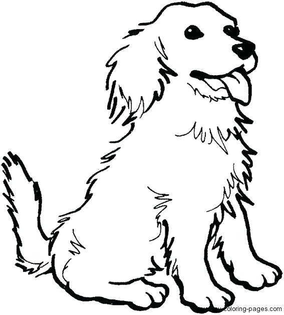 567x629 Cocker Spaniel Coloring Pages Coloring Page Of Dog Dogs Color