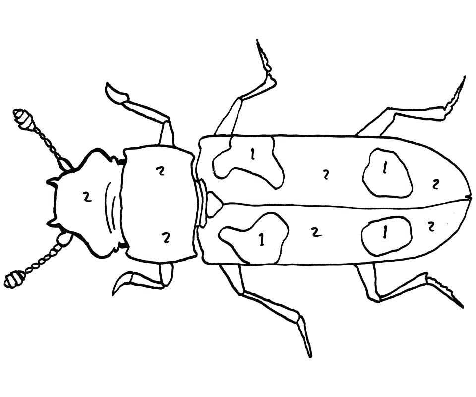 960x800 Oggy Cockroaches Coloring Pages Perfect Bug Weevil Impressive