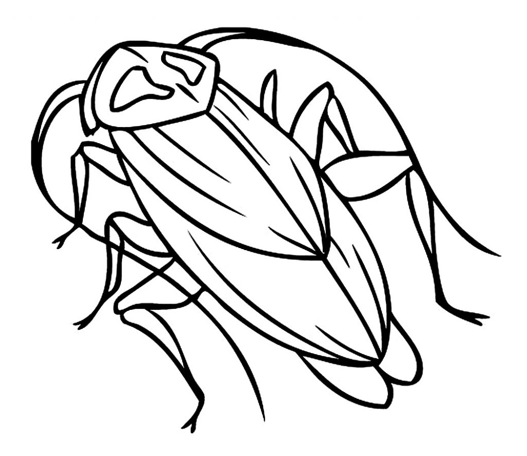 1024x886 Unique Cockroach Page To Color Design Printable Coloring Sheet