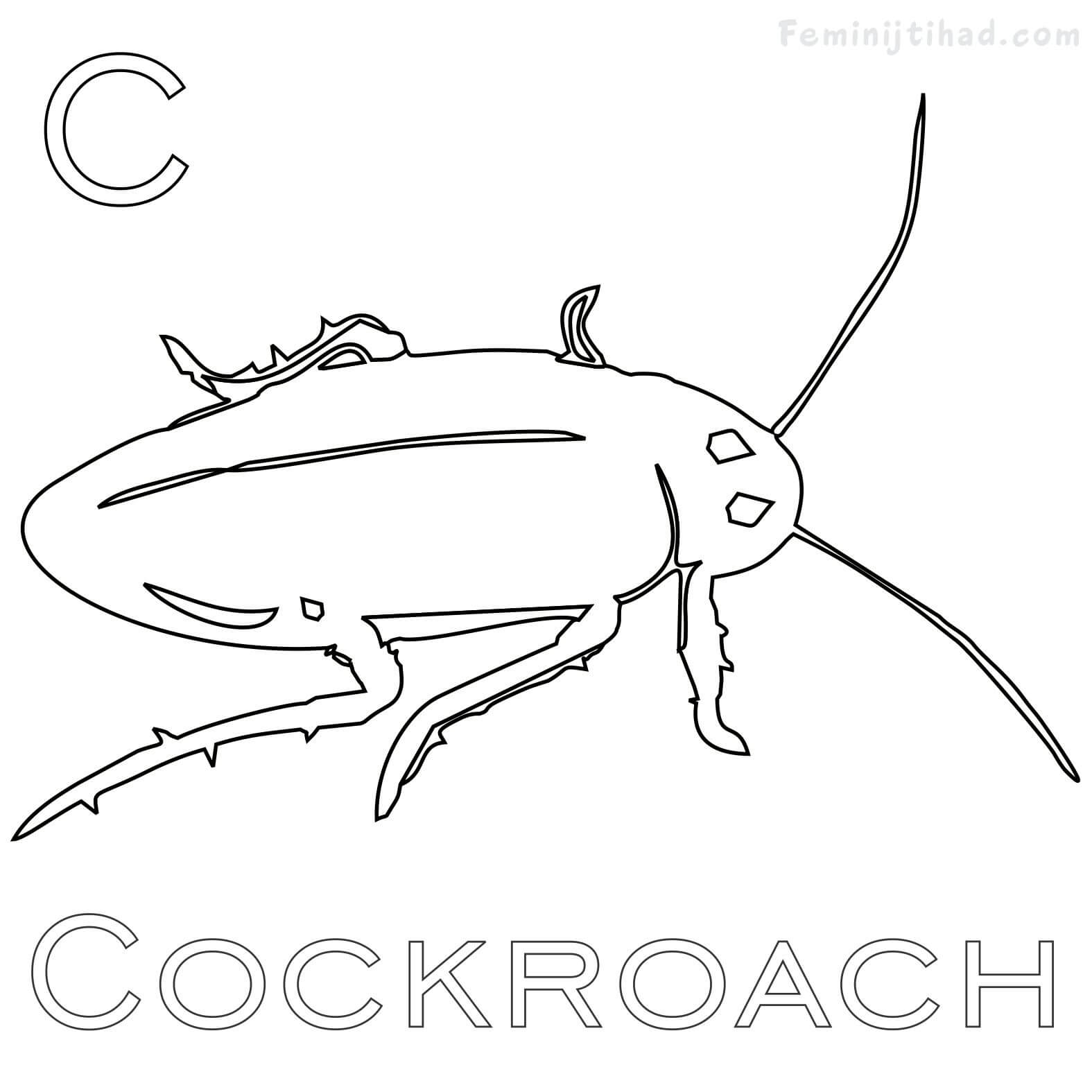 1575x1575 Cockroach Coloring Pages Printable Coloring Pages For Kids