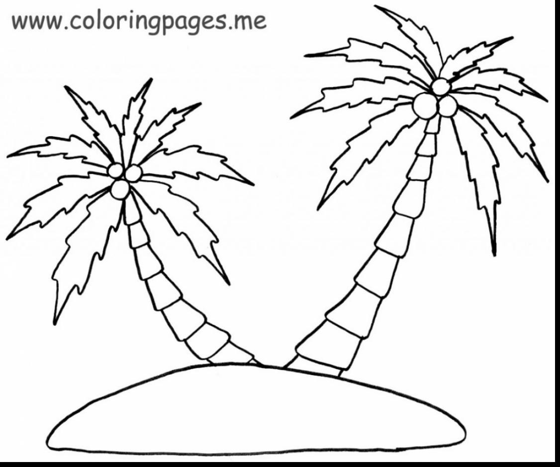 1126x940 Coconut Palm Tree Drawing At Getdrawings Com Free For Personal Use