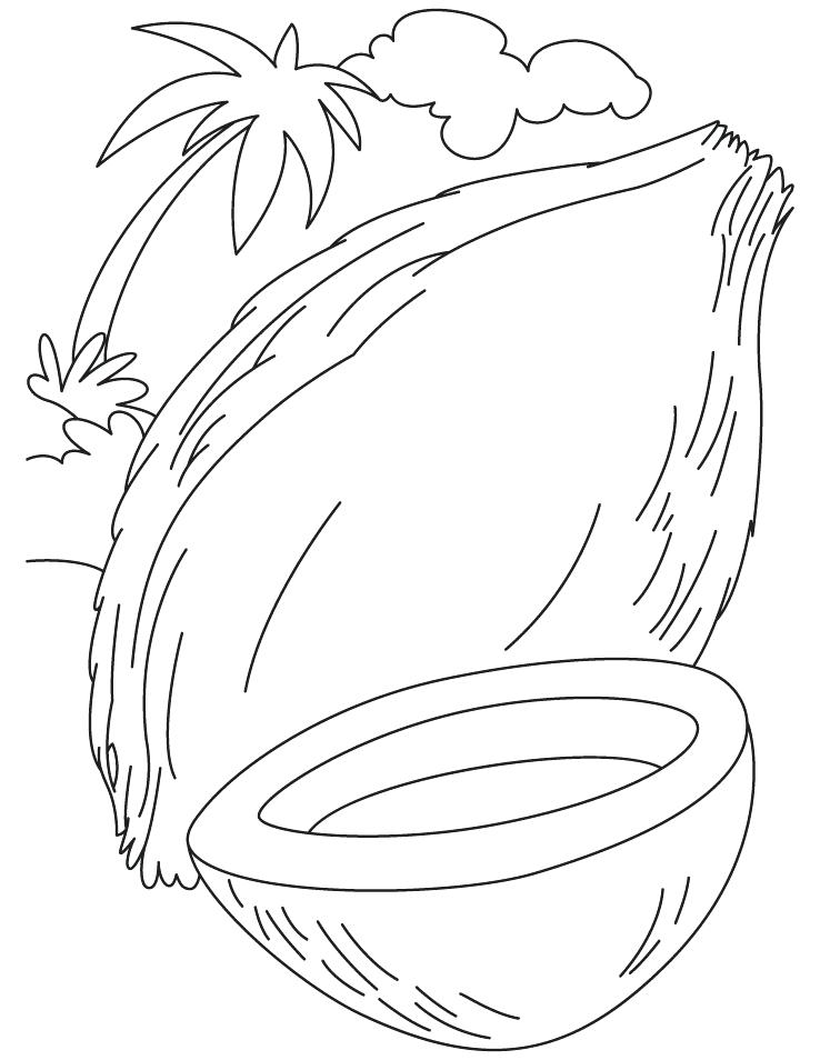 738x954 Coconut Tree Coconut Fruit Clip Art Downloadorg Coconut Coloring