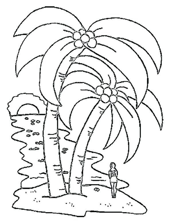 600x781 Coconut Tree Coloring Page A Big Coconut Tree Coloring Page