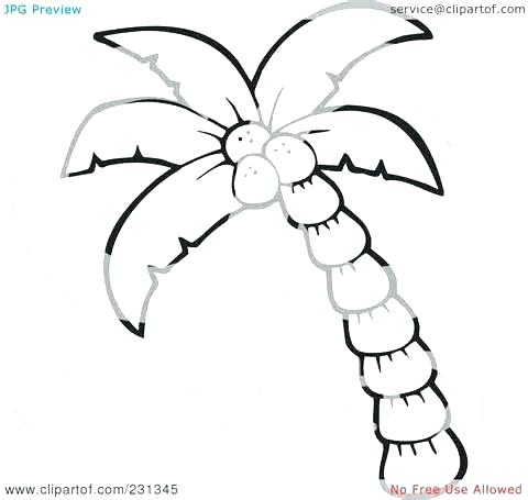 480x455 Coconut Tree Coloring Page Coloring Coconut Coconut Fruit Coloring