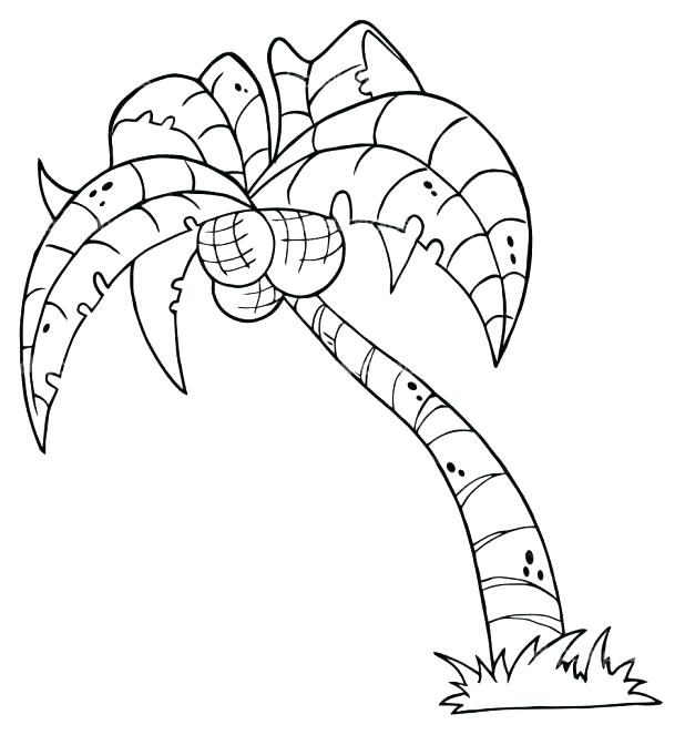 618x663 Coconut Tree Coloring Palm Tree Coloring Page Printable Palm Tree