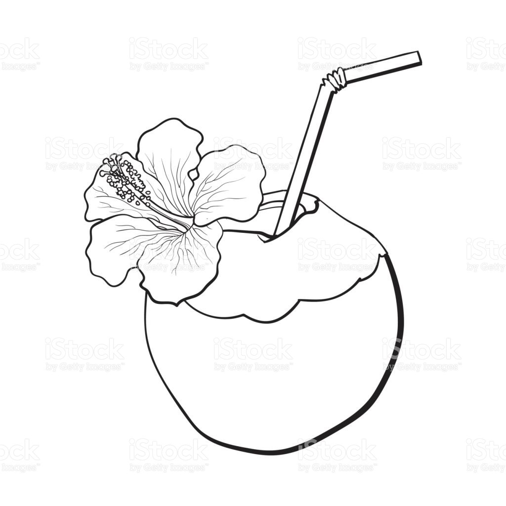 1024x1024 Awesome Coconut Coloring Pages Gallery Printable Coloring Sheet