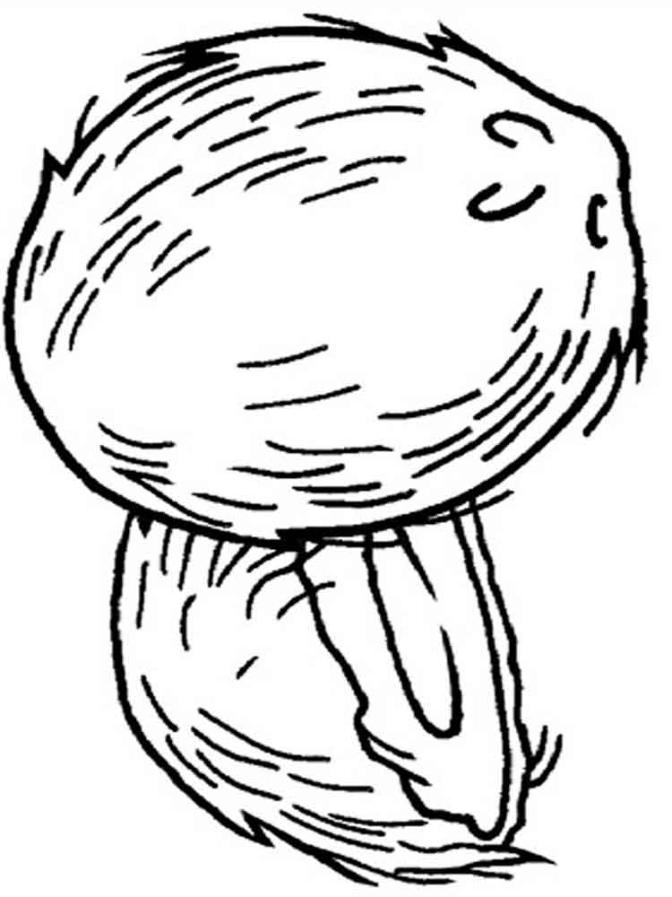 750x1000 Coconut Coloring Pages. Download And Print Coconut Coloring Pages.