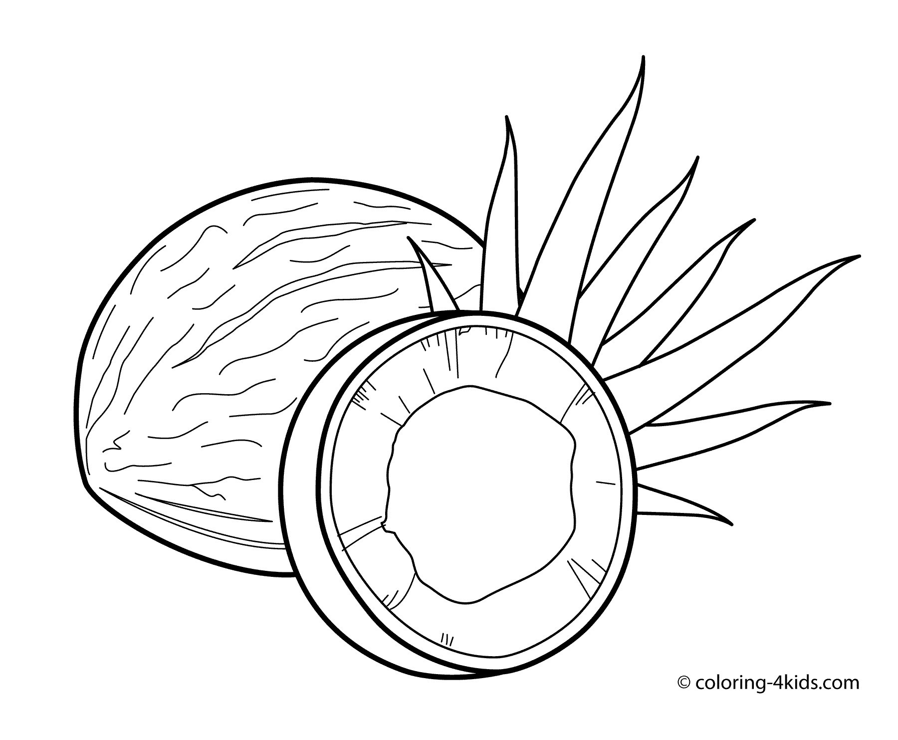 1800x1483 Free Coloring Pages Of Coconuts Best Of Tamatoa A Giant Coconut