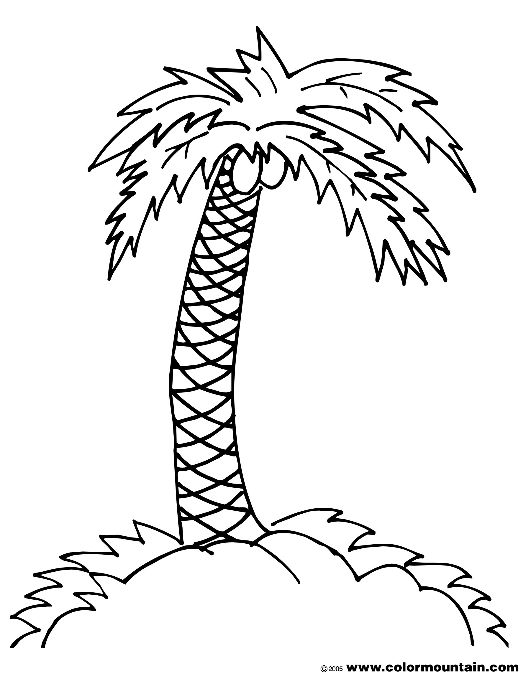 1800x2294 Coconut Coloring Page Wagashiya
