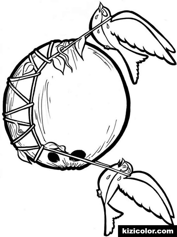 600x800 Coconut Fruits 12