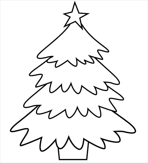 585x644 Coconut Tree Coloring Page Tree For Coloring Trees Printable