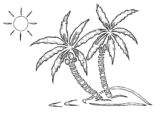 650x448 Coconut Tree