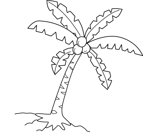 550x530 Coconut Tree Coloring Page