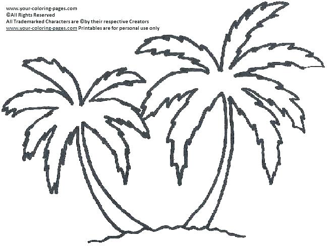 654x488 Coloring Coconut