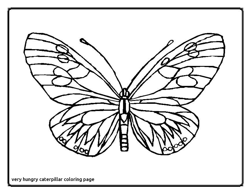 Cocoon Coloring Page