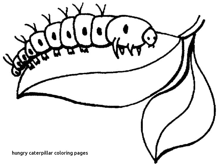 736x566 Chrysalis Cocoon Color Page Preschool Crafts For Hungry