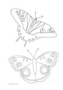 212x300 Free Butterfly Cocoon Coloring Pages, Cocoon Coloring Page