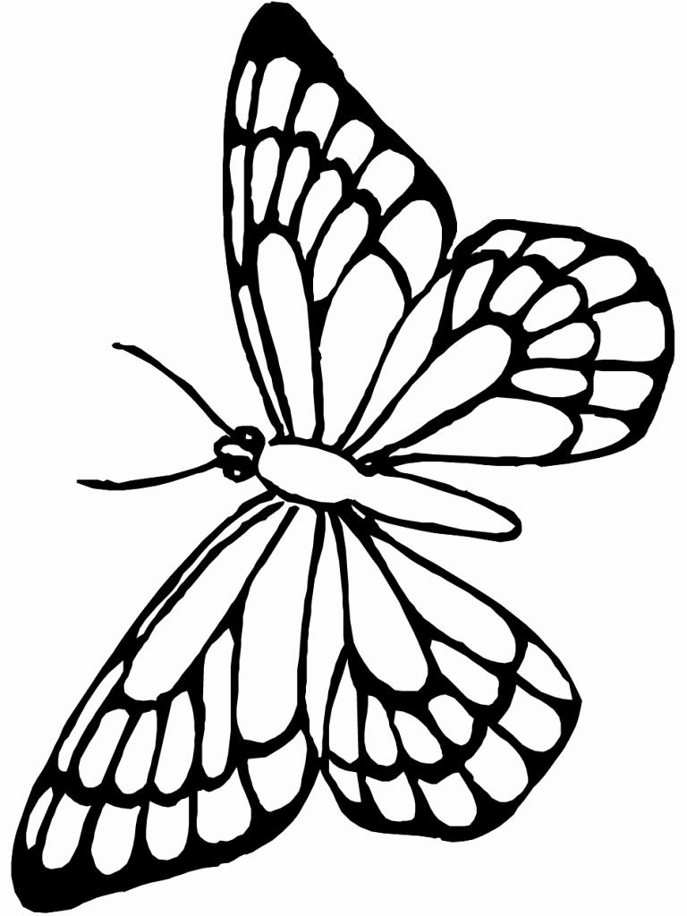 768x1024 With Cocoon And Butterfly Butterflies Coloring Pages Ohmygirl.us