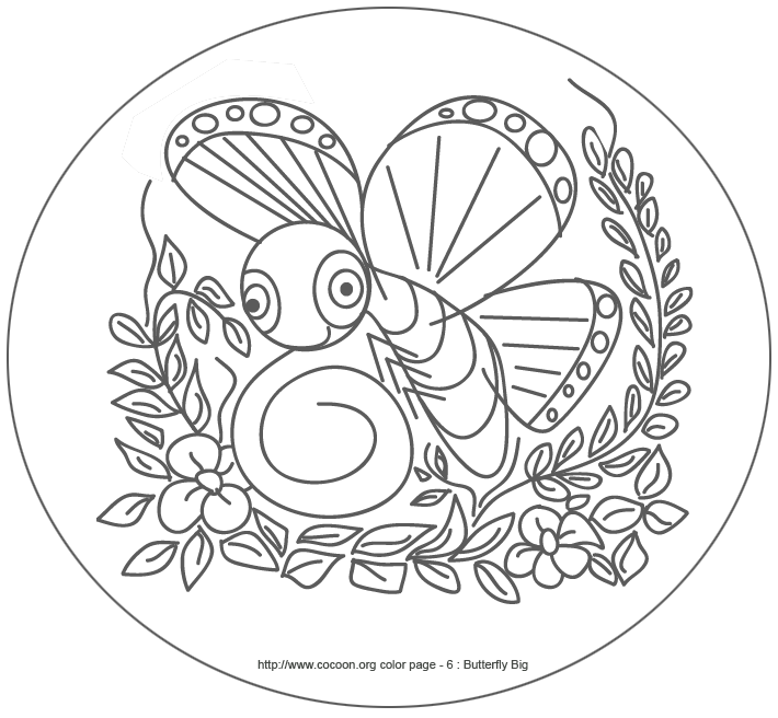 710x656 Big Butterfly Print And Color Cocoon Articles And Butterfly