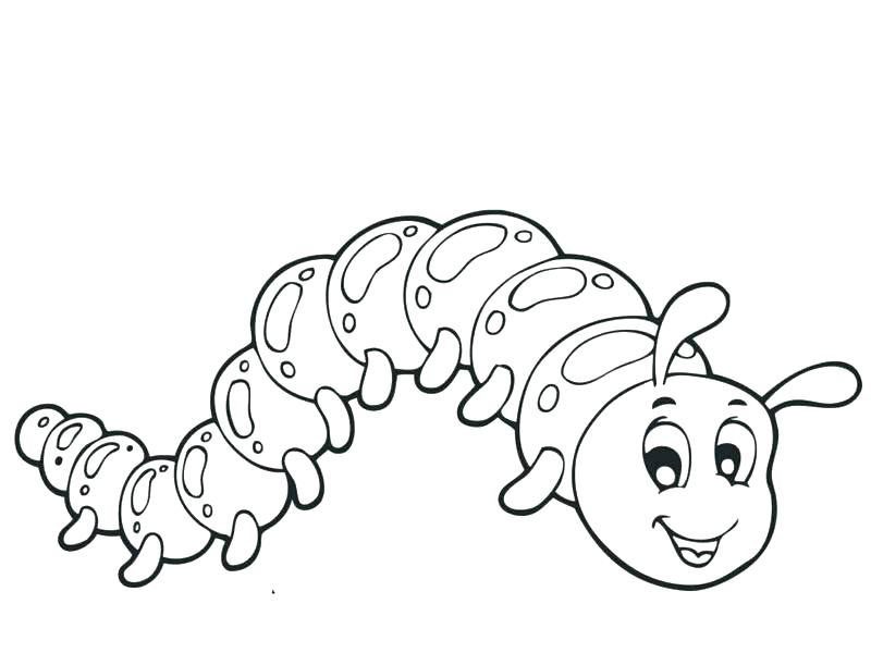 800x600 Caterpillar Coloring Page Caterpillar Coloring Page Cute