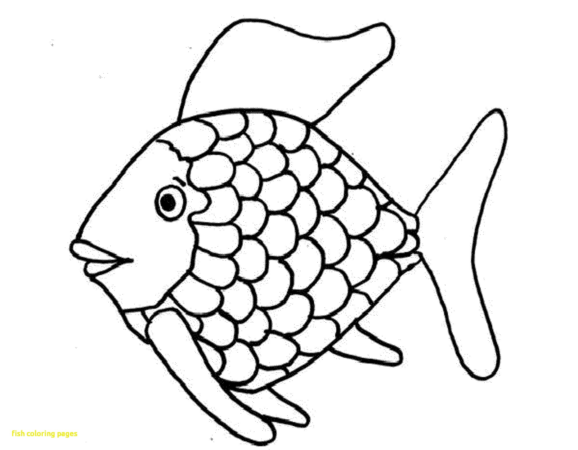2000x1560 Free Printable Pictures Of Fish