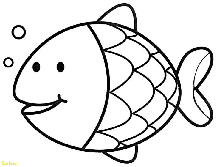 728x562 Coloring Pages Of Cod Fish Buzz Coloring