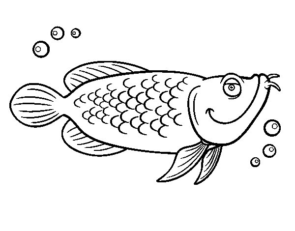 600x470 Atlantic Cod Coloring Page